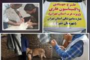 اردوی جهادی واکسیناسیون رایگان بر علیه بیماری هاری در غرب استان تهران برگزار شد